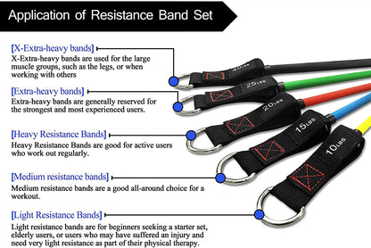 Exercise Resistance Bands with Handles - 5 Fitness Workout Bands Stackable up to 110/150/200/250/300 Lbs, Training Tubes with Large Handles, Ankle Straps, Door Anchor, Carry Bag